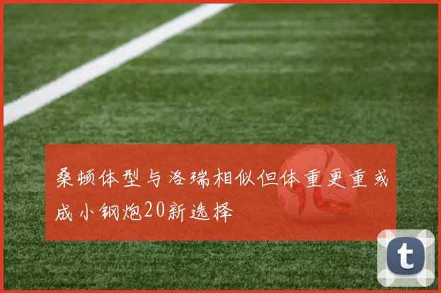 桑顿体型与洛瑞相似但体重更重或成小钢炮20新选择