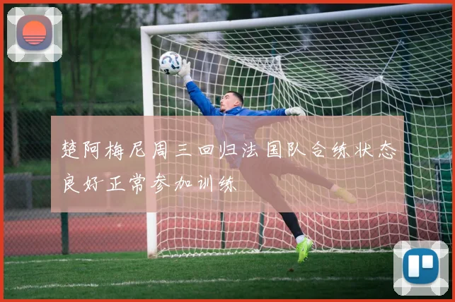 楚阿梅尼周三回归法国队合练状态良好正常参加训练